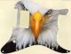 Bald Eagles Dare - H 11 Hole Strat
