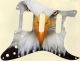 Bald Eagles Dare - HSS Shawbucker Elite Strat