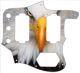 Bald Eagles Dare - Jaguar Special Edition HH