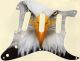 Bald Eagles Dare - Vintera '50s Strat