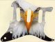 Bald Eagles Dare - SSS Hendrix Voodoo Strat