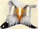 Bald Eagles Dare - Vintera '70s Strat