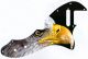 Bald Eagle 1
