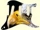Bald Eagle 1