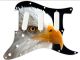 Bald Eagle 2