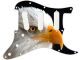 Bald Eagle 2