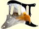 Bald Eagle 2