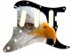 Bald Eagle 2