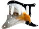 Bald Eagle 2