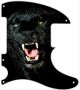 Black Panther
