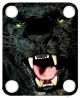 Black Panther