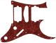 Bloodworms