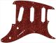 Bloodworms