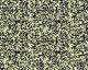 Blotched Black on Cream