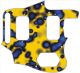 Blue Blotch on Yellow