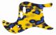 Blue Blotch on Yellow