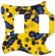 Blue Blotch on Yellow