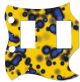 Blue Blotch on Yellow