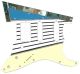 Blue/Cream Tailguard
