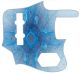Blue Webbing