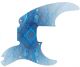 Blue Webbing