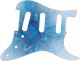 Blue Webbing