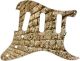 Brick Wall Perspective - Vintera '50s Strat