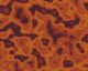 Brown Abstract