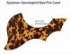 Epiphone Acoustic - Brown Blotch Tortoise Pickguard