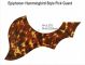 Epiphone Acoustic - Brown Camo Tortoise Pickguard