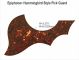 Epiphone Acoustic - Brown Tortoise Pickguard
