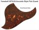 Yamaha APX-6A Acoustic - Brown Tortoise Pickguard
