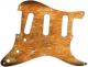 Brush Stain - Vintera '50s Strat