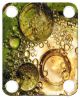 Bubbles 4