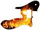 Burning Skull - '72 ReIssue Custom Tele
