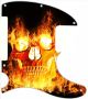 Burning Skull - Avril Lavigne Tele