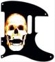 Burnt Skull - Vintera '50s Tele