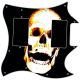 Burnt Skull