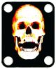 Burnt Skull