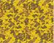 Safari