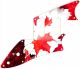 Canadian Patriot 1