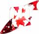 Canadian Patriot 1