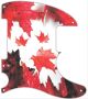 Canadian Patriot 1