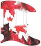 Canadian Patriot 1