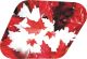Canadian Patriot 1