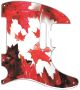 Canadian Patriot 1 - American Elite Tele
