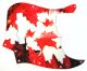 Canadian Patriot 1