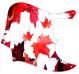 Canadian Patriot 1