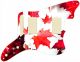 Canadian Patriot 1