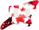 Canadian Patriot 1
